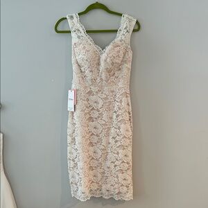 Elegant Lace Sleeveless Dress - Cream